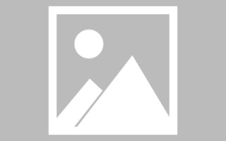 敦煌广州专业搭建网站平台（广州网站建设方案开发）